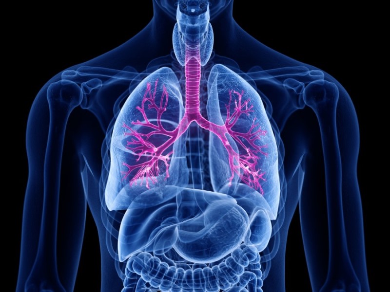 Przewlekła obturacyjna choroba płuc – czym jest i jak ją leczyć?